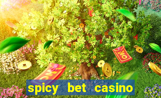 spicy bet casino como funciona